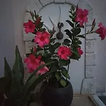 Magnolia 3* Trois-Palis