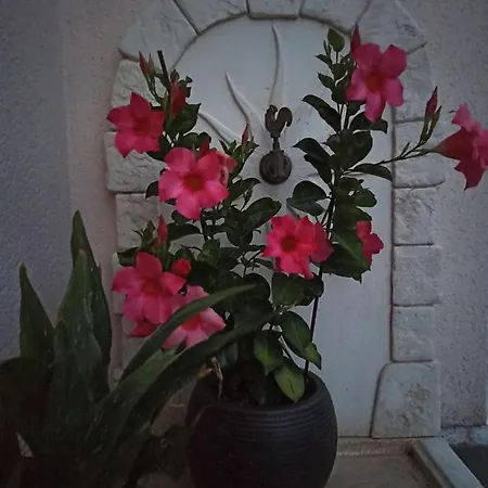 Magnolia 3* Trois-Palis
