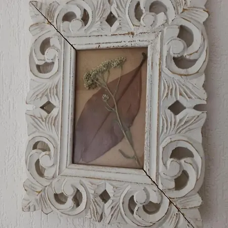 Πανσιόν Magnolia 3*