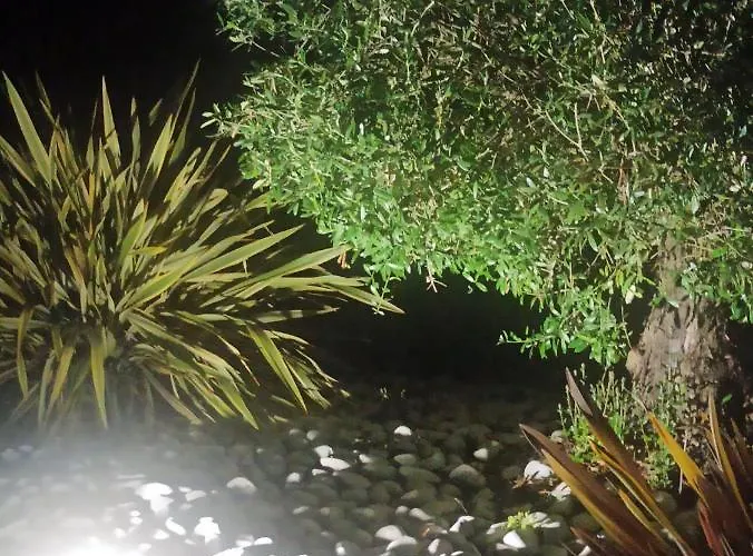 Magnolia Maison d'hôtes