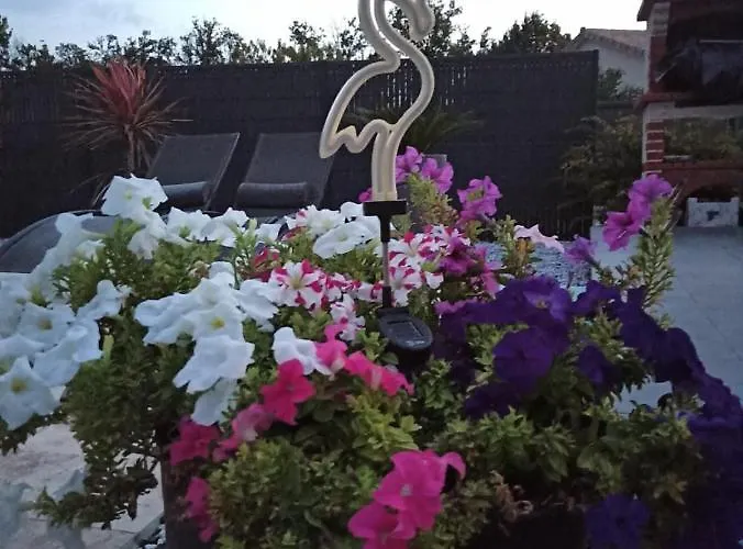 Magnolia Maison d'hôtes Trois-Palis